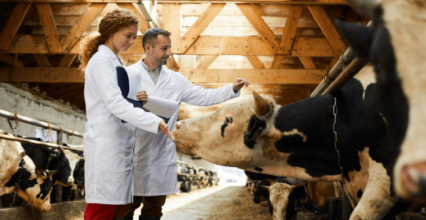 Les bienfaits de la vaccination pour les animaux de la ferme 